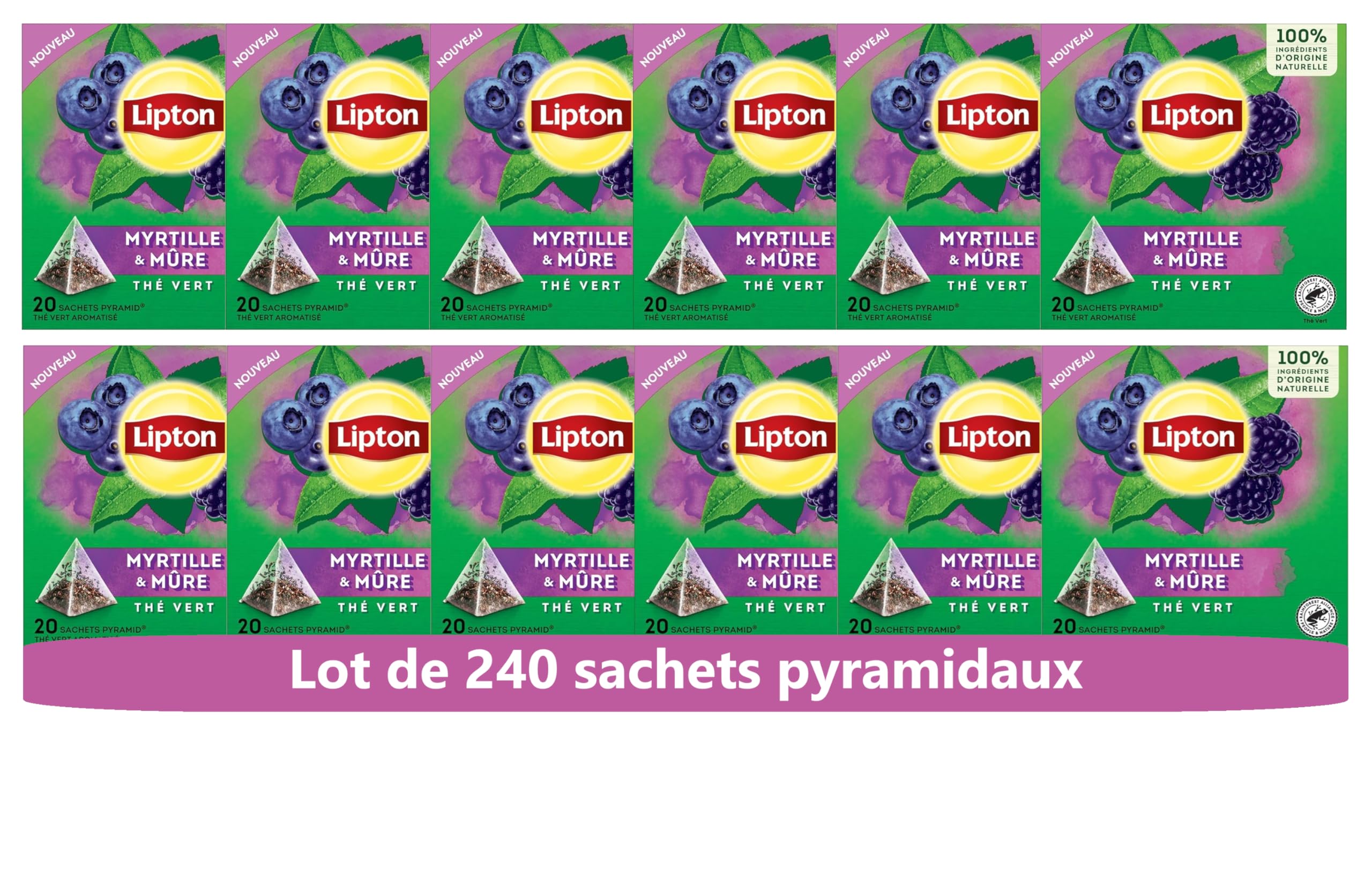 Thé Vert Aromatisé Lipton Myrtille & Mure Bien Etre 100% Naturel Infusion Froide ou Chaude 240 Sachets Rainforest Allian